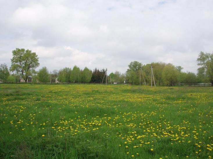 Віленька з panoramio.com - Vilenka