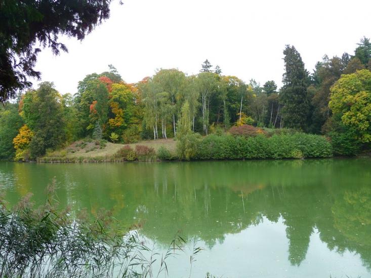 Васьківці з panoramio.com - Васьковцы