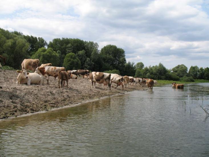 Хижки з panoramio.com - Хижки