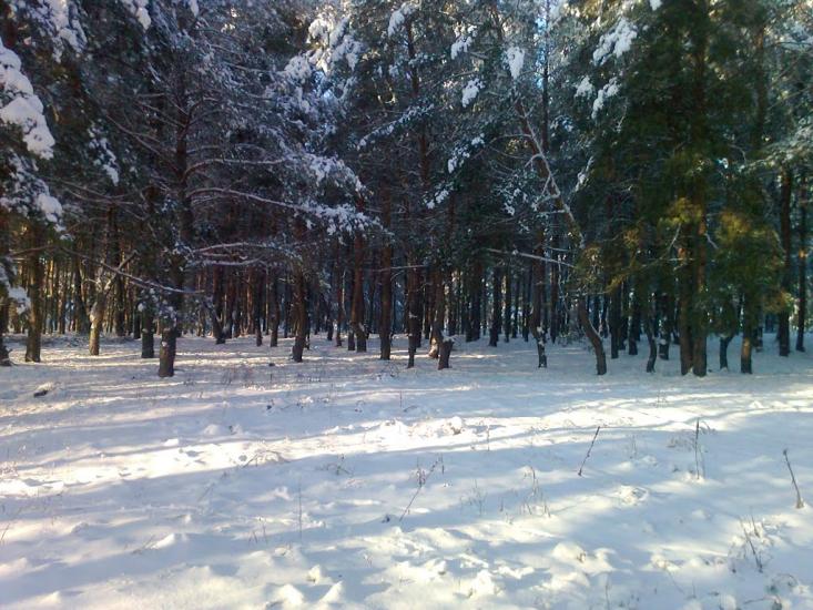 Борівське з panoramio.com - Боровское