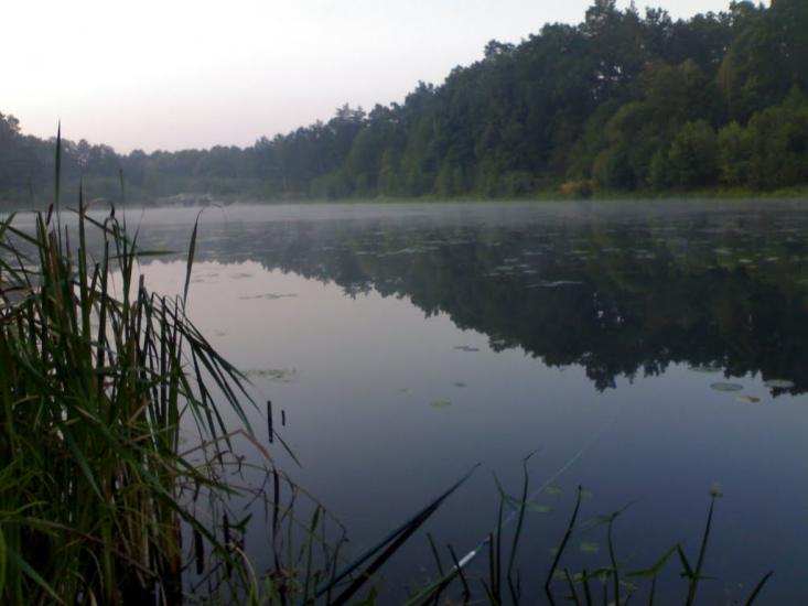 Василівка з panoramio.com - Василівка