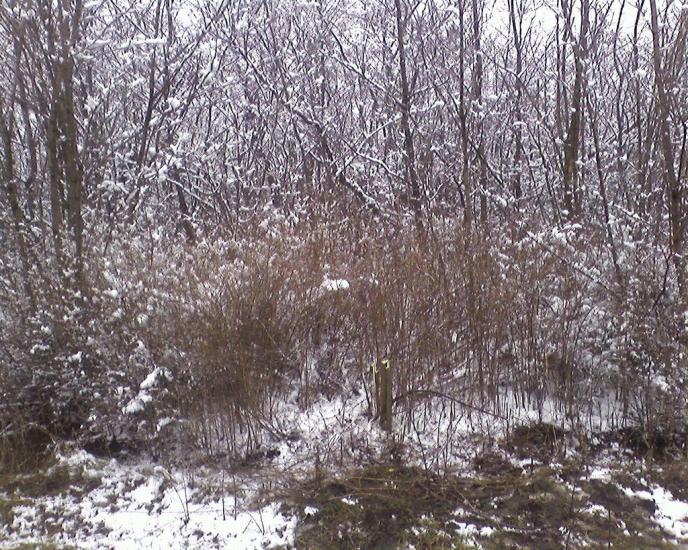 Нове з panoramio.com - Новое