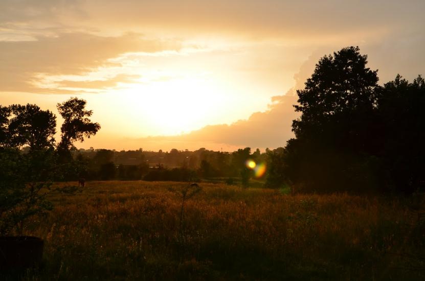 Яворів з panoramio.com - Яворов