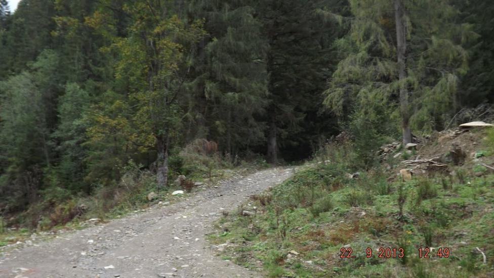 Поляниця з panoramio.com - Поляница