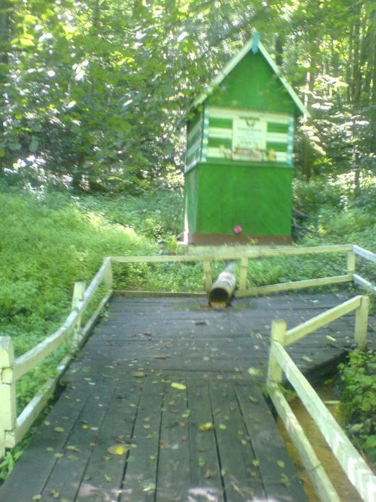 Вакалівщина з panoramio.com - Вакаловщина