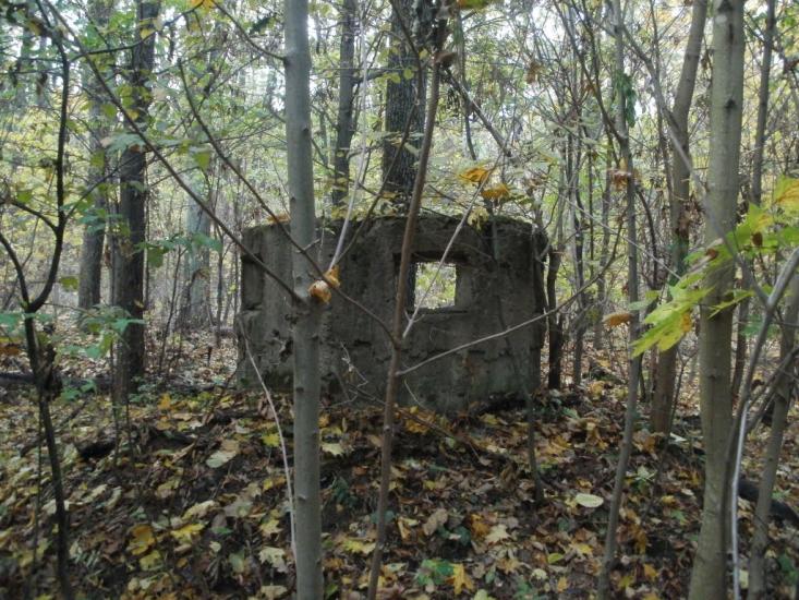 Гунча з panoramio.com - Гунча