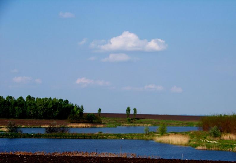 Сокиряни з panoramio.com - Сокиряны