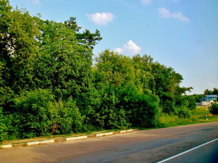Медвин з panoramio.com - Медвин