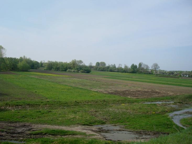 Вербівці з panoramio.com - Вербовцы