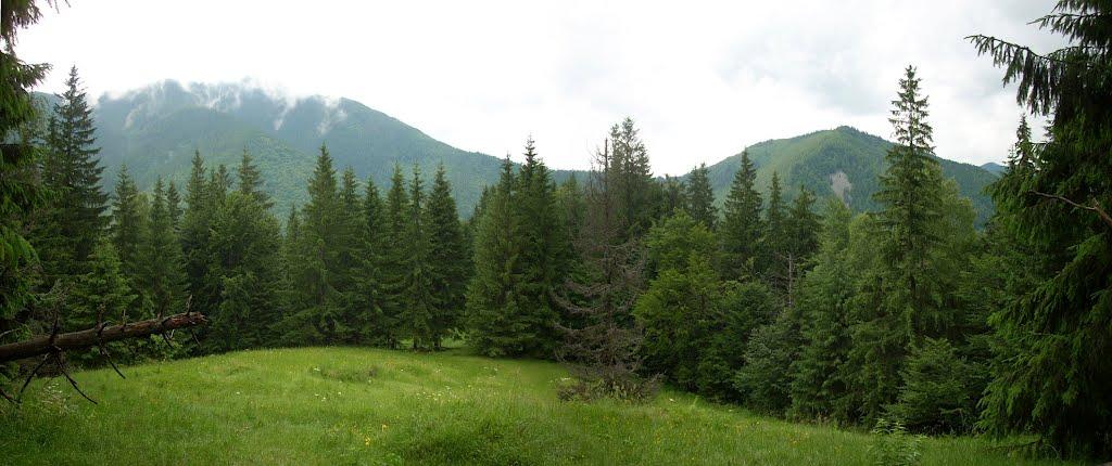 Максимець з panoramio.com - Maksymets