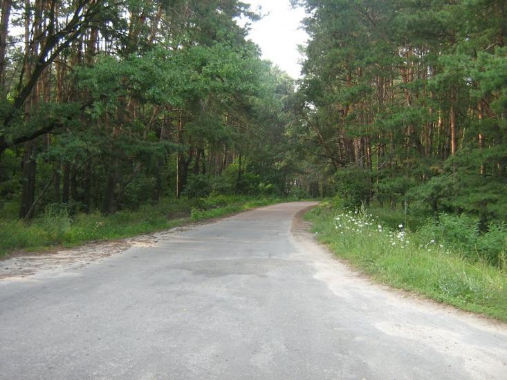 Рудня з panoramio.com - Rudnya