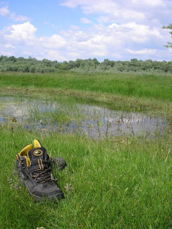 Велике Устя з panoramio.com - Velyke Ustya