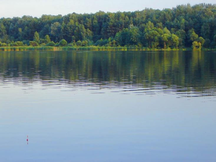 Іванковичі з panoramio.com - Иванковичи