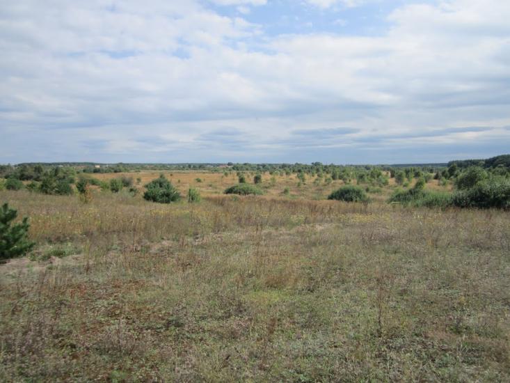 Паланки з panoramio.com - Паланки