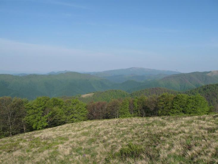 Усть-Чорна з panoramio.com - Усть-Чорна