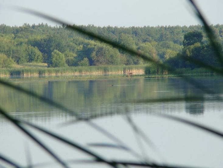 Пилипча з panoramio.com - Pylypcha