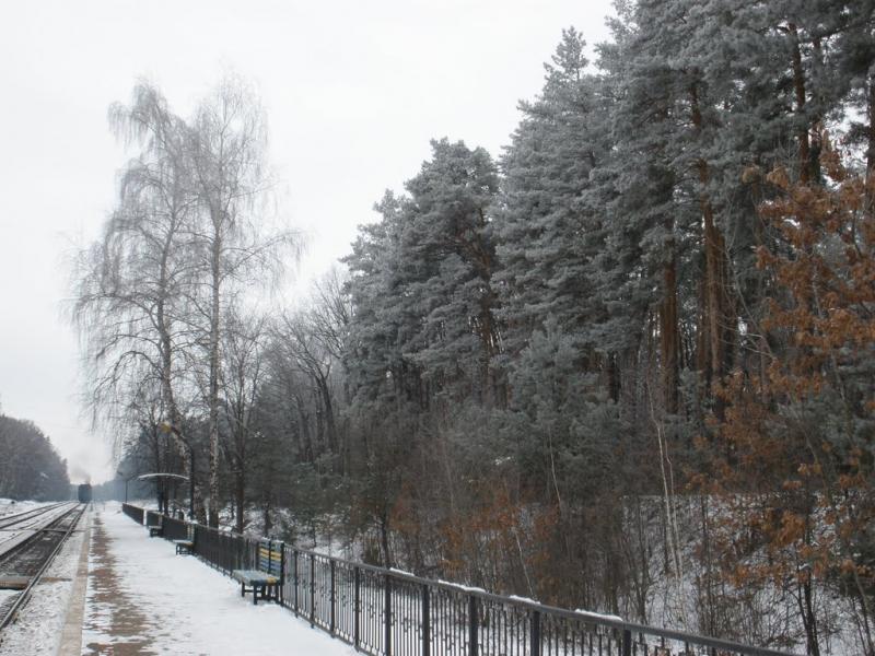 Кам'янка з panoramio.com - Kamyanka