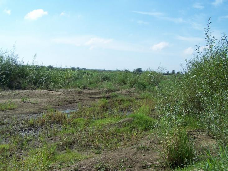 Старе Село з panoramio.com - Старе Село