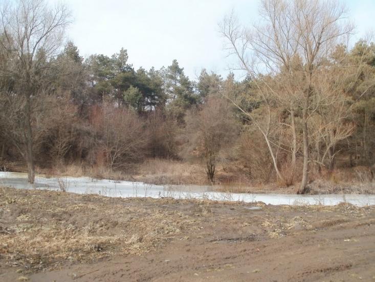 Млинки з panoramio.com - Млынки