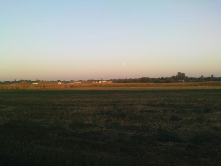 Краснопілка з panoramio.com - Краснополка