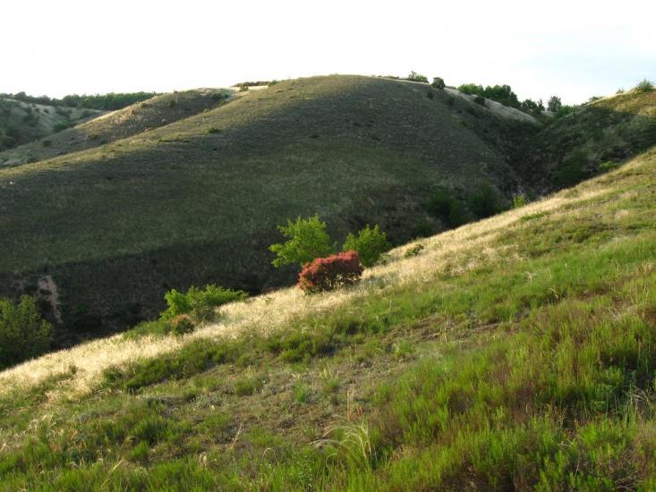 Біленьке з panoramio.com - Біленьке