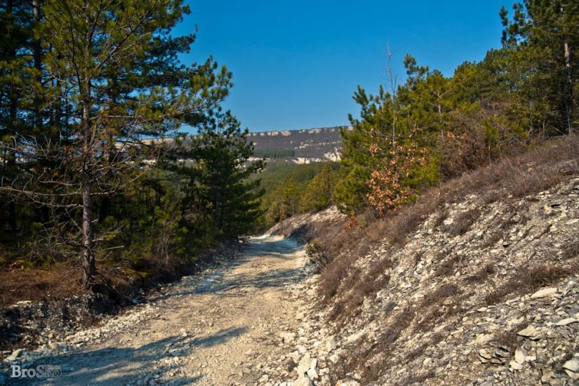 Прохладне з panoramio.com - Прохладное