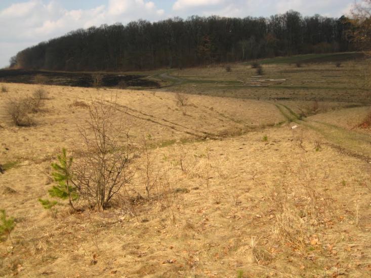 Пасіки-Зубрицькі з panoramio.com - Пасеки-Зубрицкие