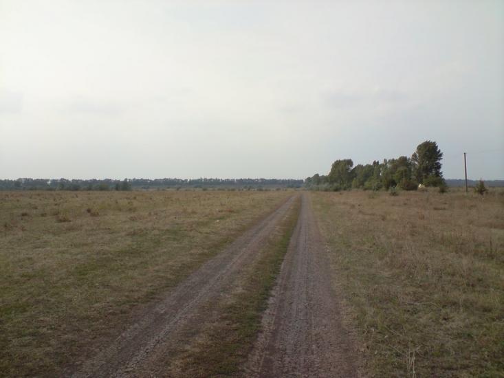 Веселе Поле з panoramio.com - Веселое Поле