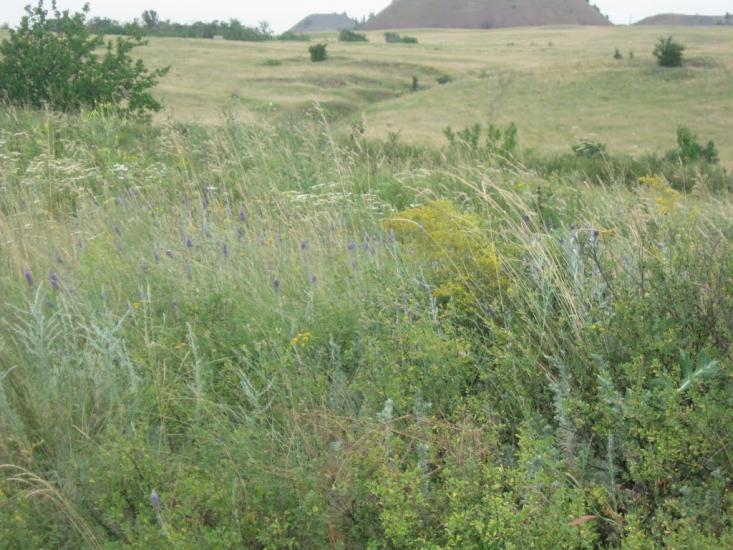 Врубівський з panoramio.com - Врубовский