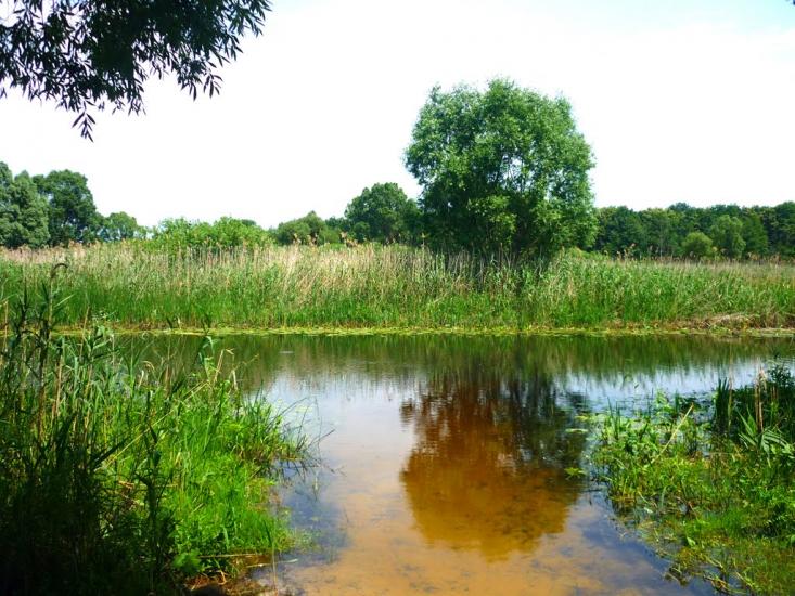 Журавка з panoramio.com - Журавка