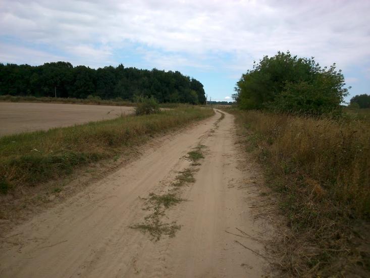 Селище з panoramio.com - Селище