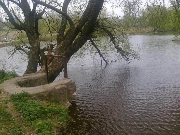 Лиса Гора з panoramio.com - Лиса Гора