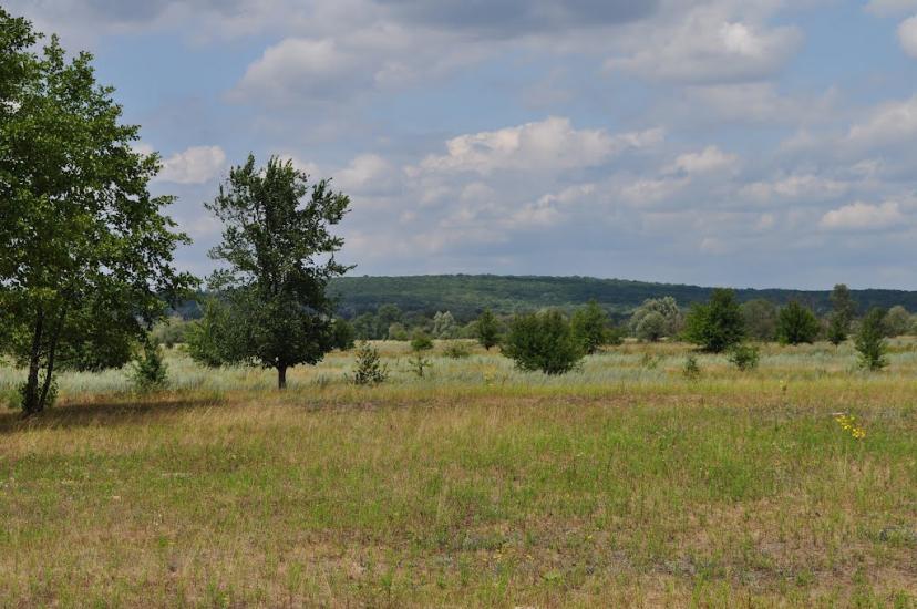 Журавне з panoramio.com - Журавне