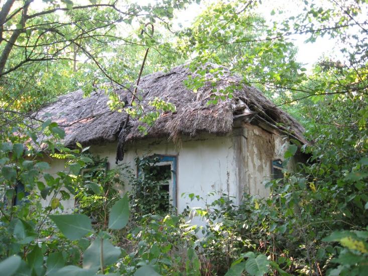 Пекарі з panoramio.com - Пекарі