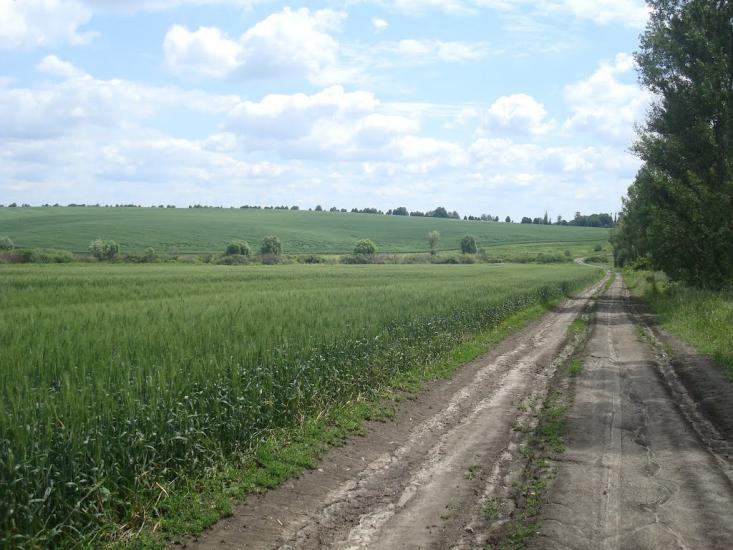 Давидківці з panoramio.com - Давыдковцы