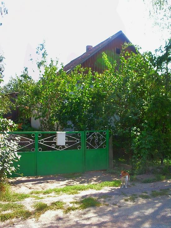 Плотинне з panoramio.com - Плотинное