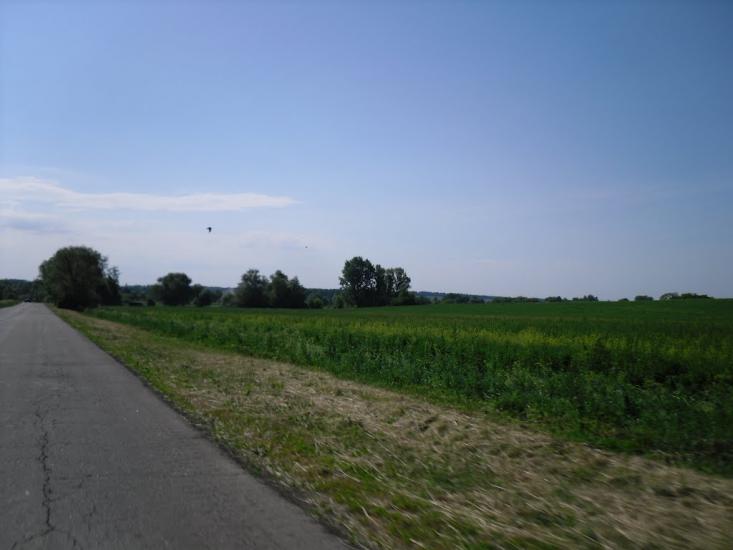 Цьови з panoramio.com - Цевы