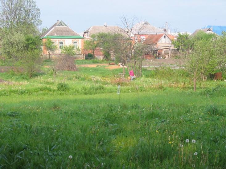 Черкаська Лозова з panoramio.com - Черкасская Лозовая