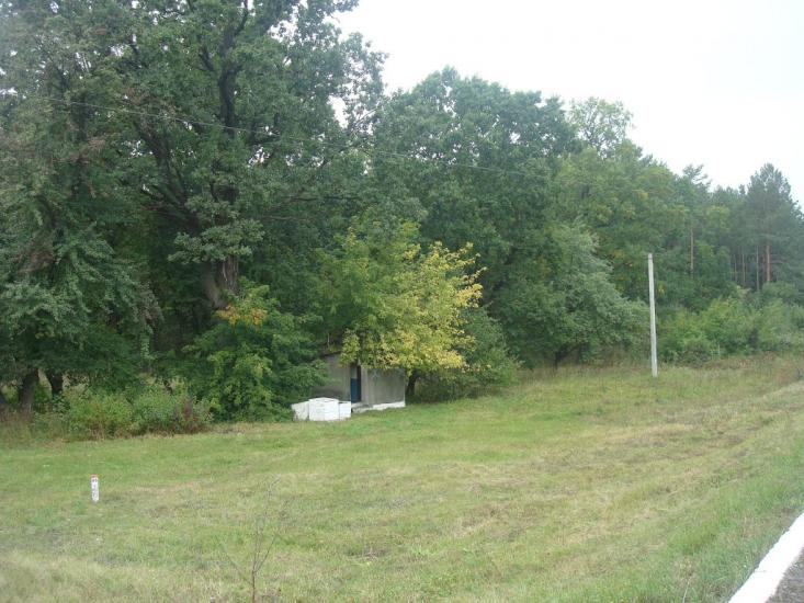 Цвітоха з panoramio.com - Цветоха