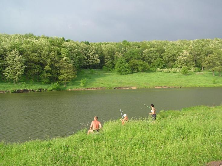 Іванковичі з panoramio.com - Иванковичи