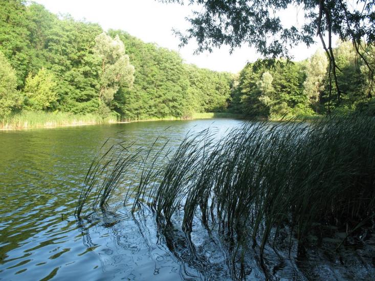 Халеп'я з panoramio.com - Халепье