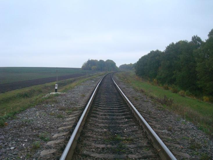 Волудринці з panoramio.com - Voludryntsi
