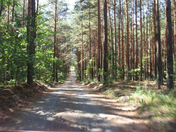 Візня з panoramio.com - Візня