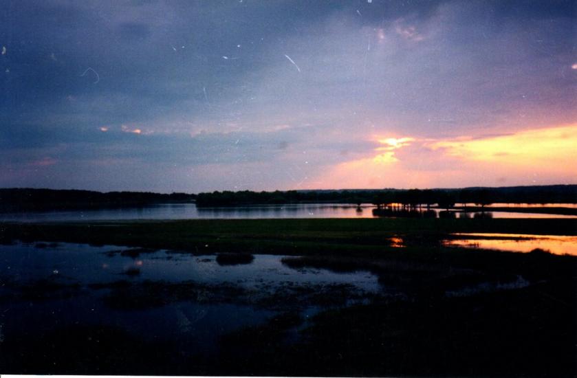 Пирогівка з panoramio.com - Пироговка