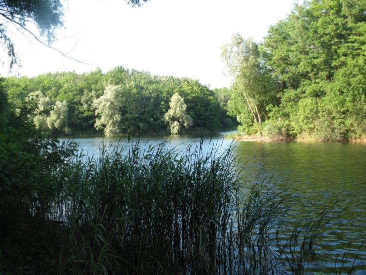 Халеп'я з panoramio.com - Халепье