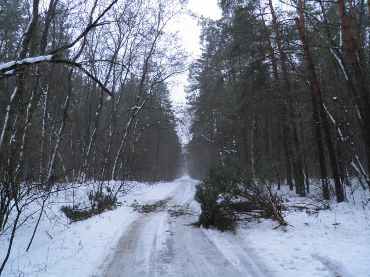 Піски з panoramio.com - Pisky