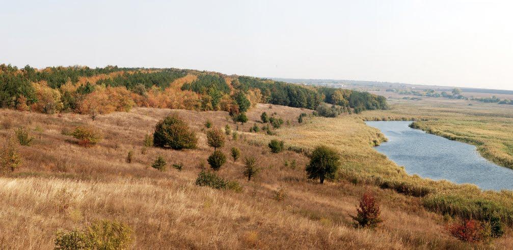 Кам'янка з panoramio.com - Камянка