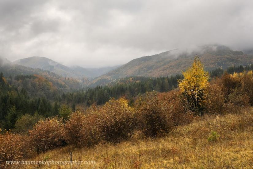 Кричка з panoramio.com - Кричка