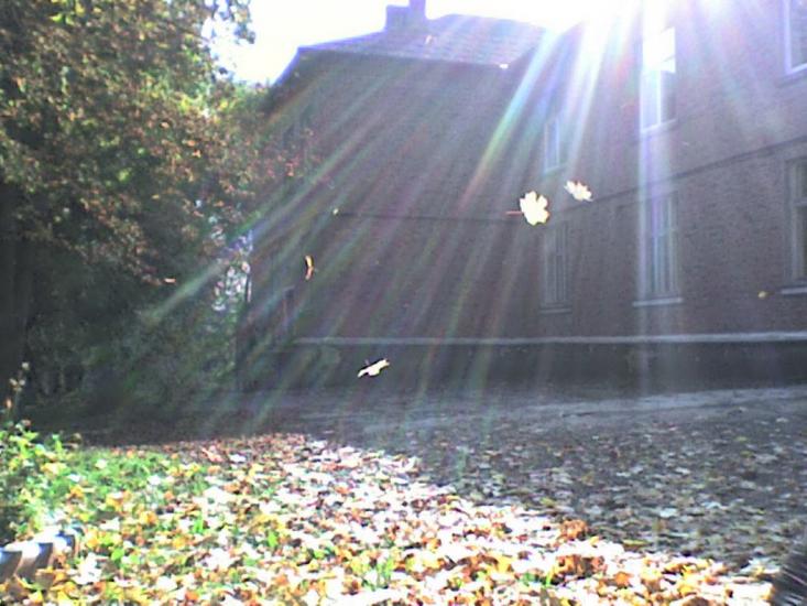 Липівка з panoramio.com - Липівка