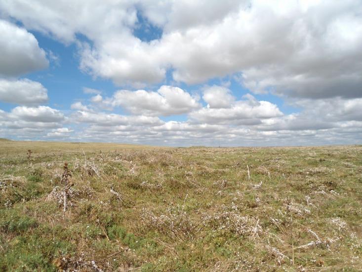 Жовтокам'янка з panoramio.com - Желтокаменка